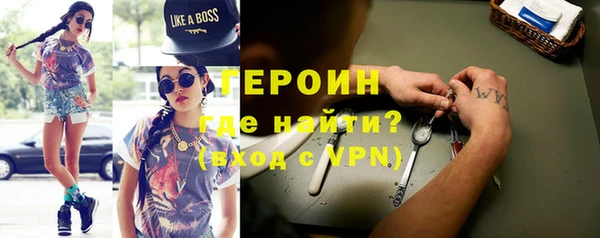 шишки Няндома