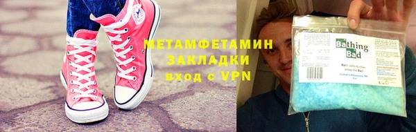шишки Няндома