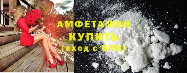 шишки Няндома
