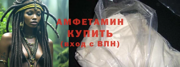 шишки Няндома