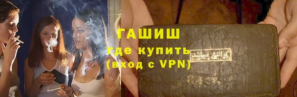 шишки Няндома