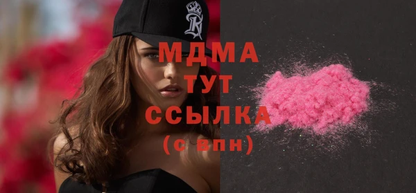 шишки Няндома