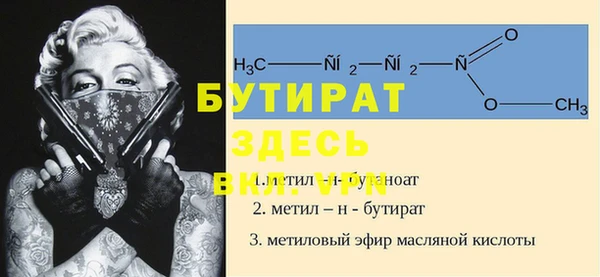 шишки Няндома