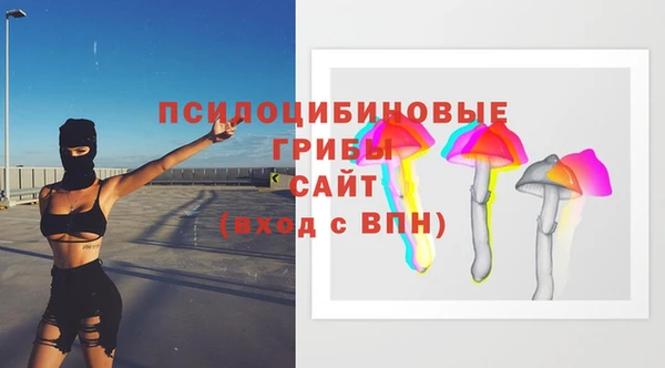 шишки Няндома