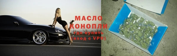 шишки Няндома