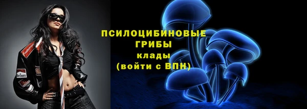 шишки Няндома