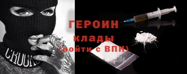 шишки Няндома