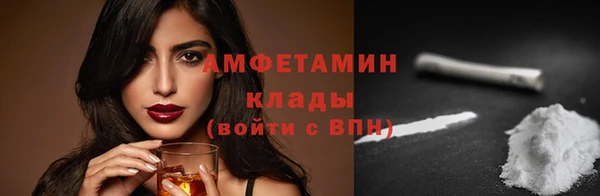 шишки Няндома