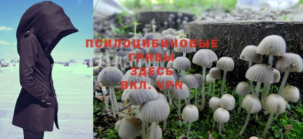 МДПВ Нягань