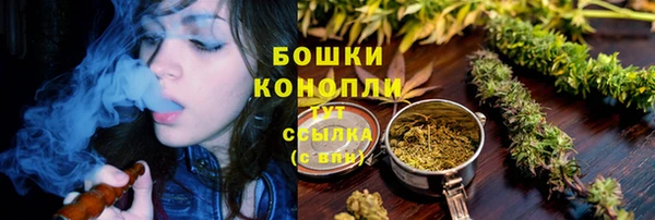 шишки Няндома