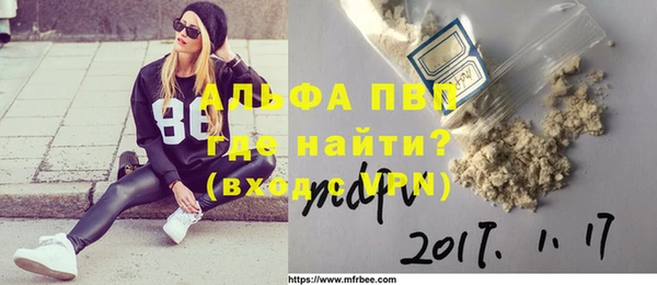 шишки Няндома