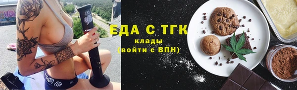 шишки Няндома